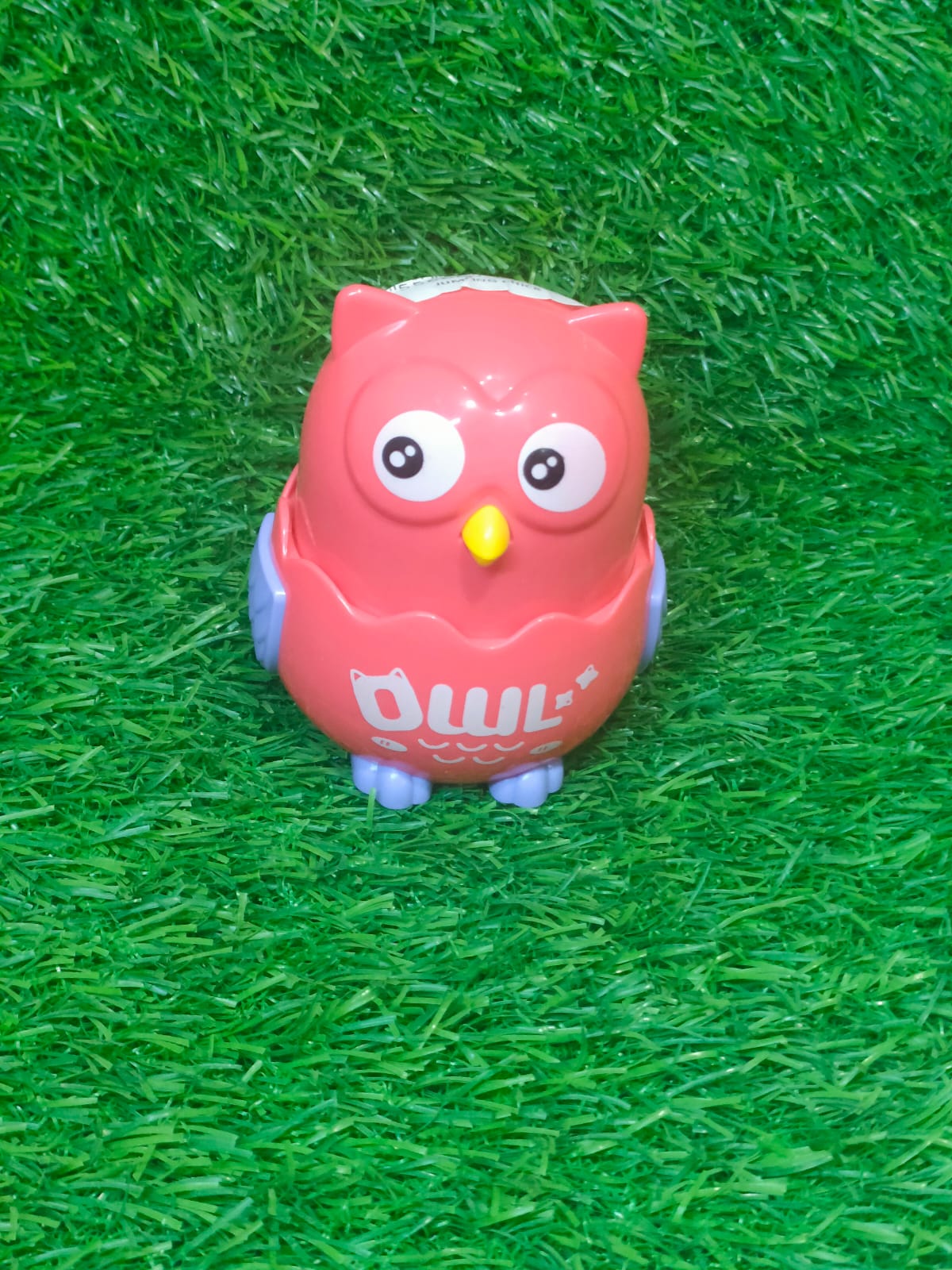 IMG-20250928-WA0039 JUMPING CHICKS - Image 1