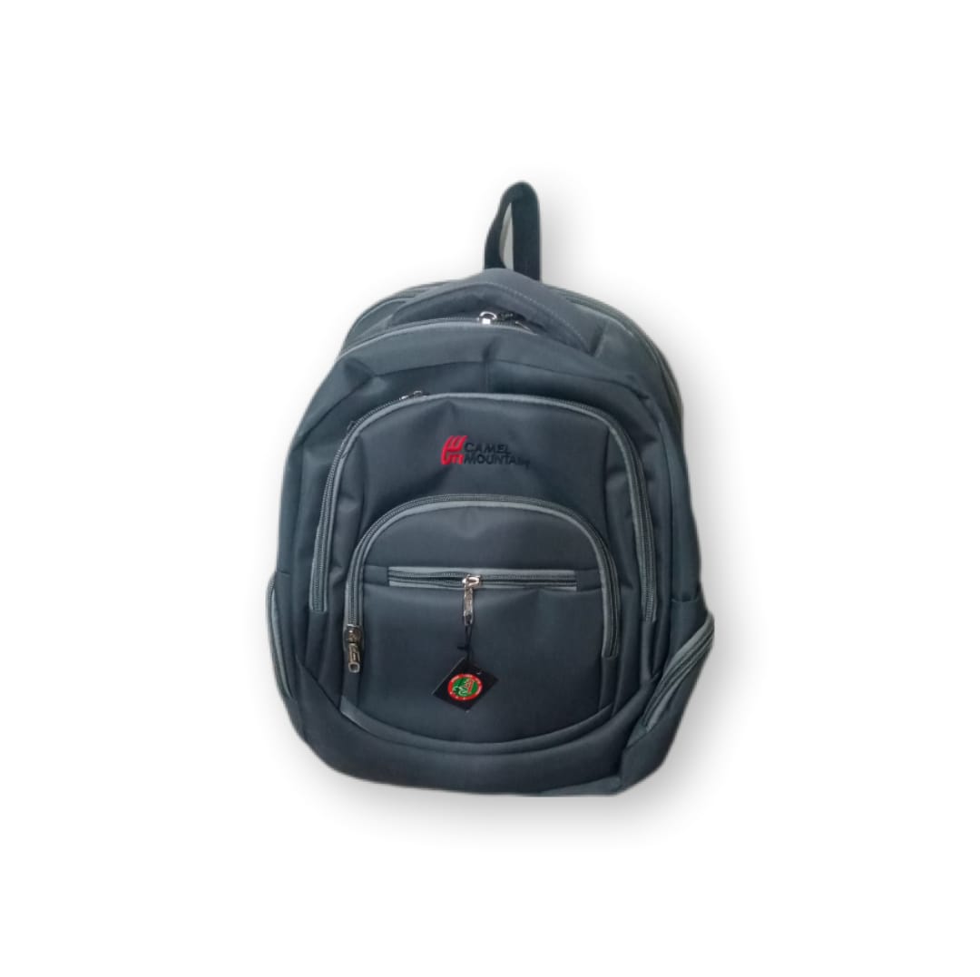 WhatsApp Image 2025-10-01 at 14.46.55_db48cbac DAKANEE CAMEL MOUNTAIN SCHOOL BAG GRAY COLOR - Image 1